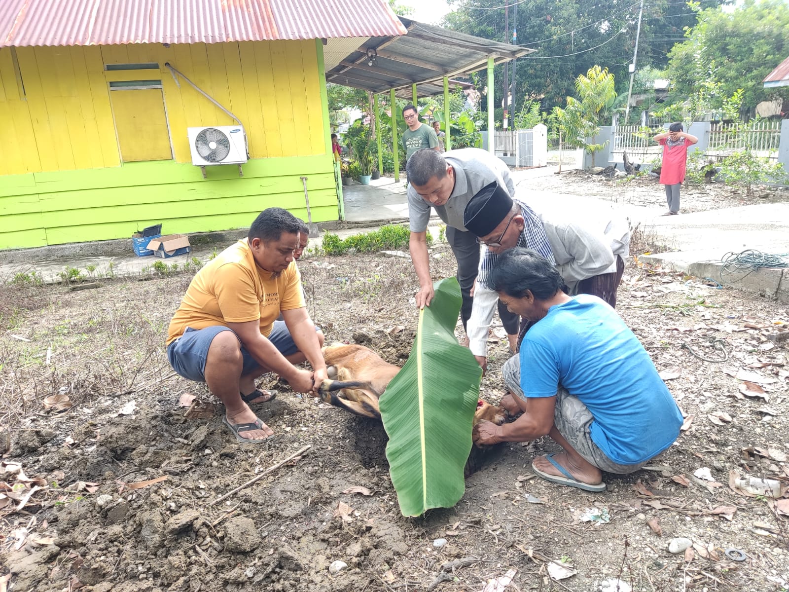 d87316ee 48e5 4202 9c4d f327dc61684b